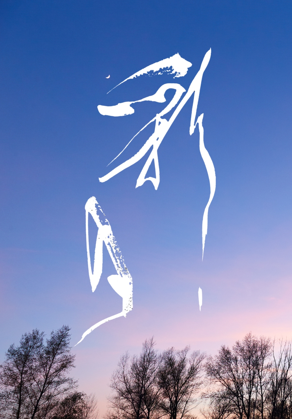 書作品「彩月」